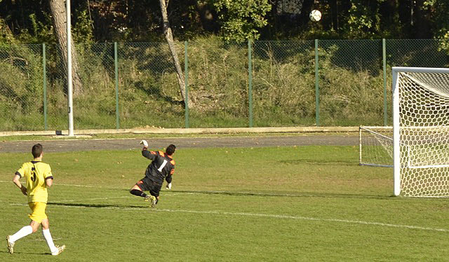 bvv_cll08