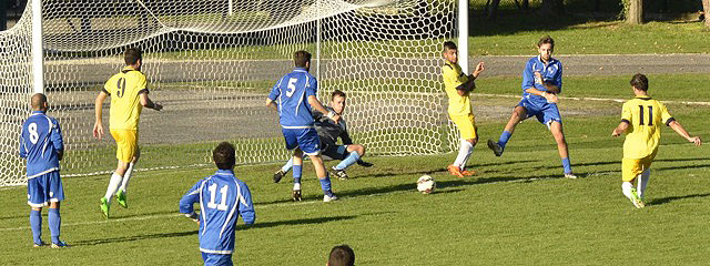 bvv_cll10