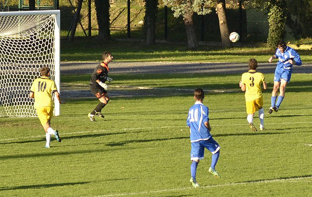 bvv_cll32