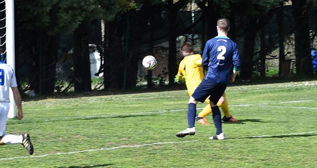 C-OLH03