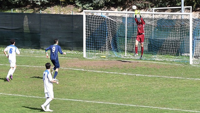 C-OLH06