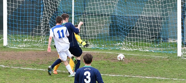 C-OLH13