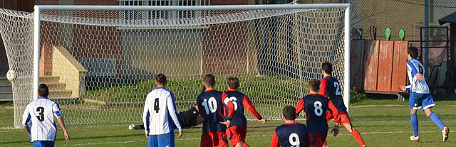 cancl11