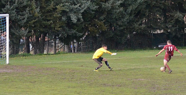 cl_nestor10