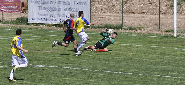 clcam12