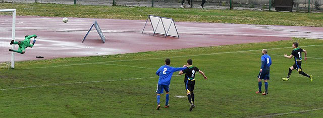F_coppa_15
